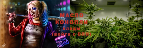 дмт Абаза