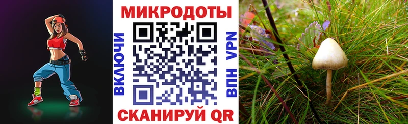 Псилоцибиновые грибы MAGIC MUSHROOMS  Адыгейск 